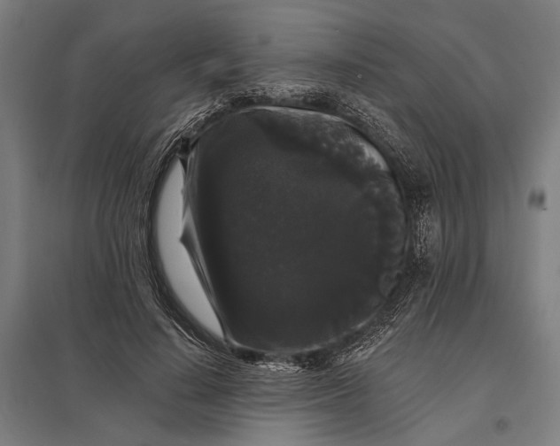 X0000097910644200803281403