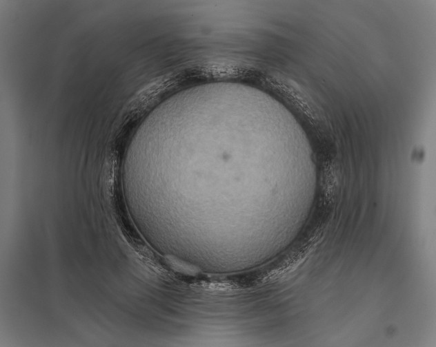 X0000097910645200803281403