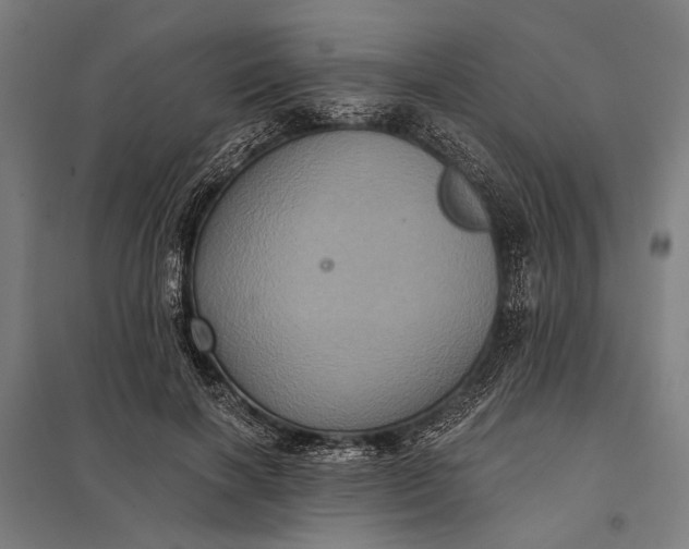 X0000097910646200803281403