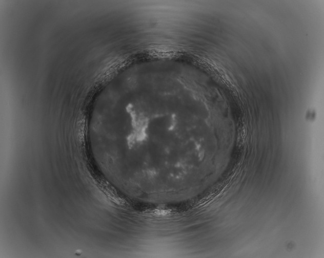 X0000097910647200803281403