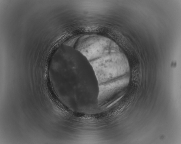 X0000097910648200803281404