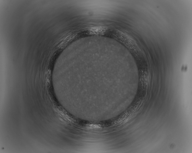 X0000097910649200803281404