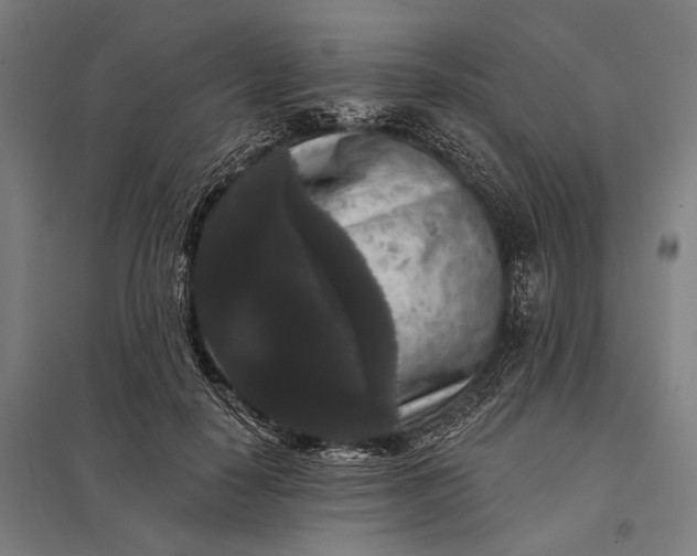 X0000097910650200803281404