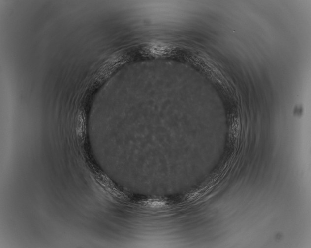 X0000097910651200803281404