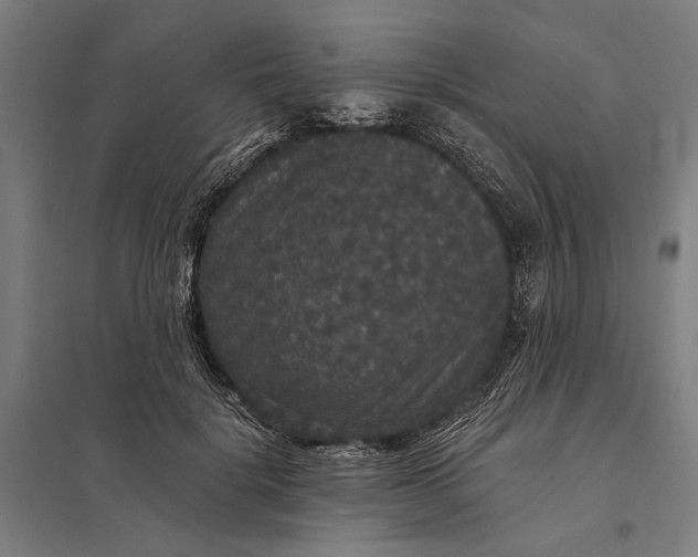 X0000097910652200803281404