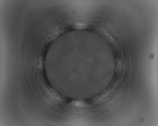 X0000097910655200803281404