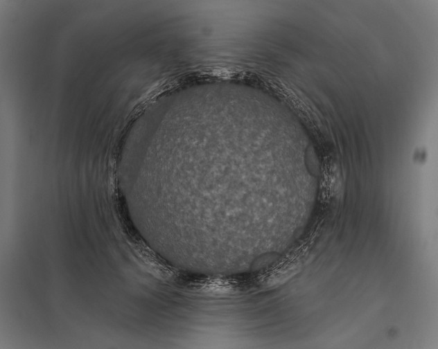 X0000097910656200803281404