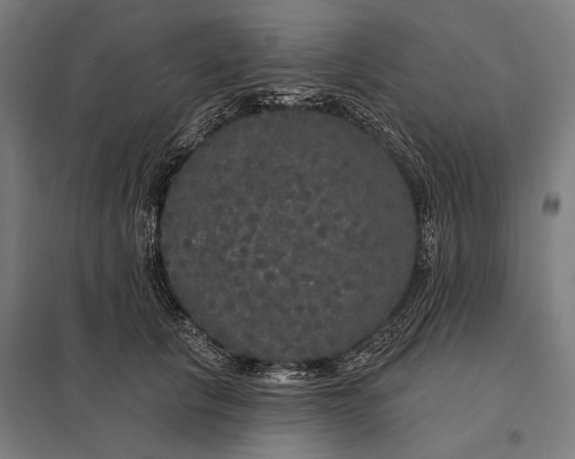 X0000097910657200803281404