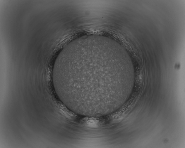 X0000097910658200803281404