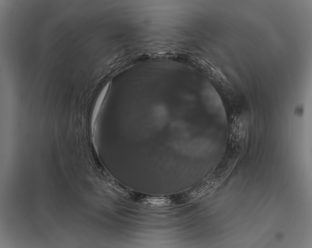 X0000097910659200803281404