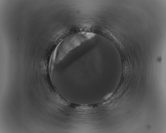 X0000097910661200803281404