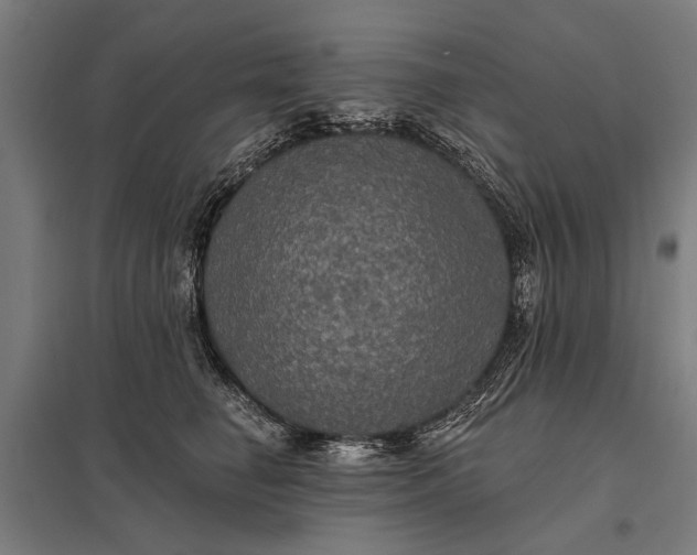 X0000097910662200803281404