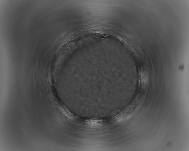 X0000097910664200803281404