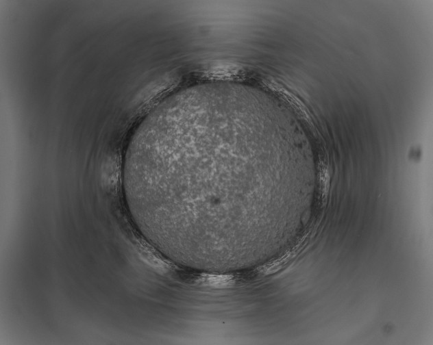 X0000097910665200803281404