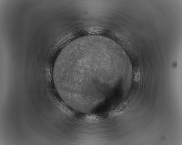 X0000097910666200803281404