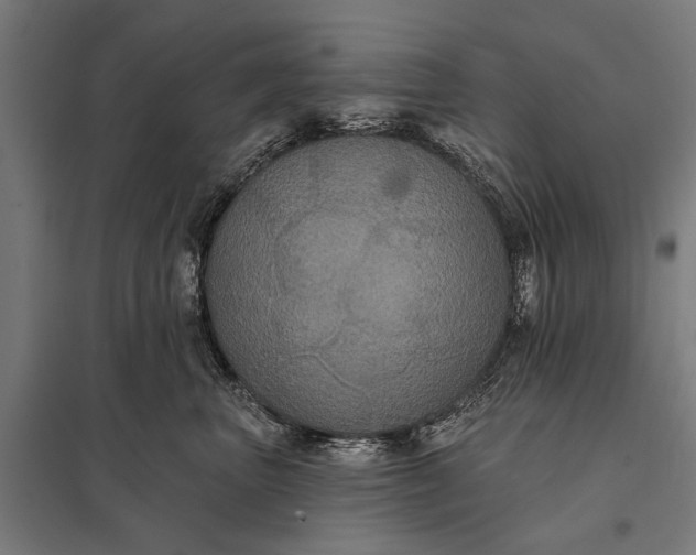 X0000097910667200803281404