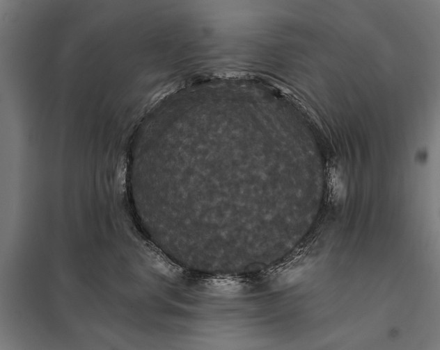 X0000097910668200803281404