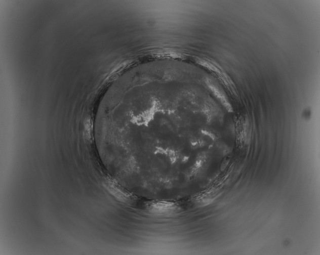 X0000097910669200803281404