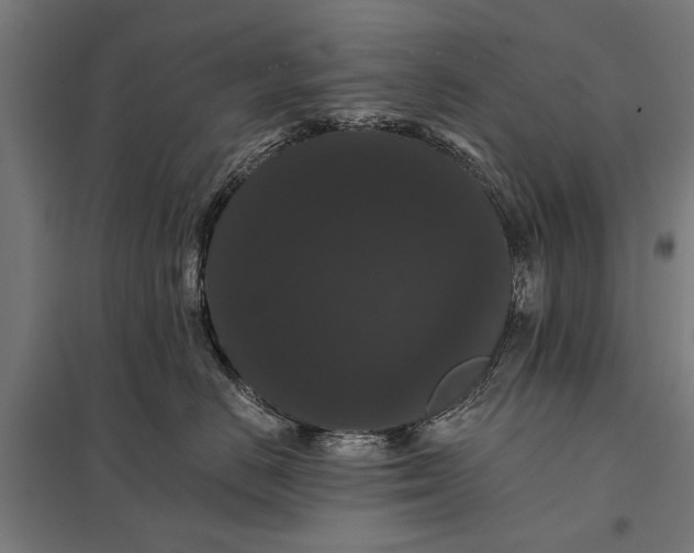 X0000097910670200803281404