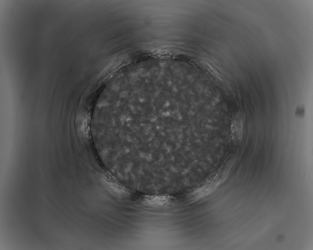 X0000097910671200803281404