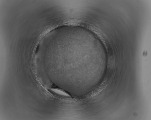 X0000097910673200803281403