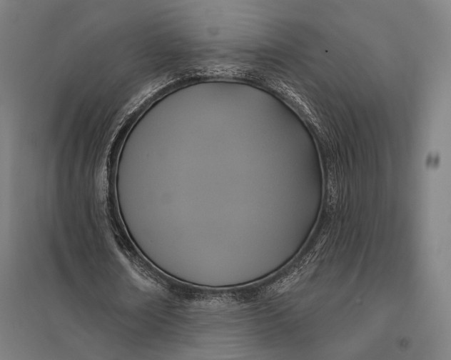 X0000097910674200803281403