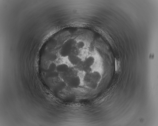 X0000097910675200803281403