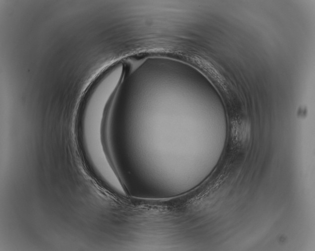 X0000097910676200803281403