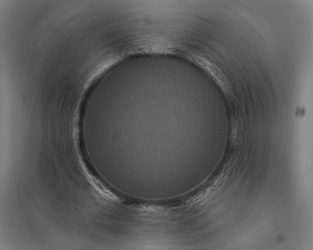 X0000097910677200803281403