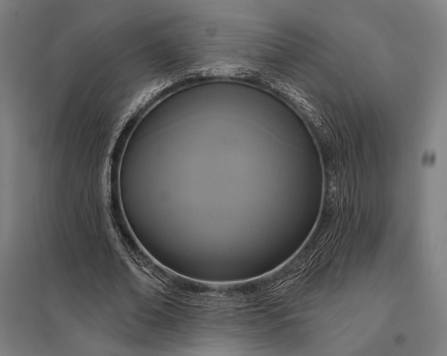 X0000097910678200803281403