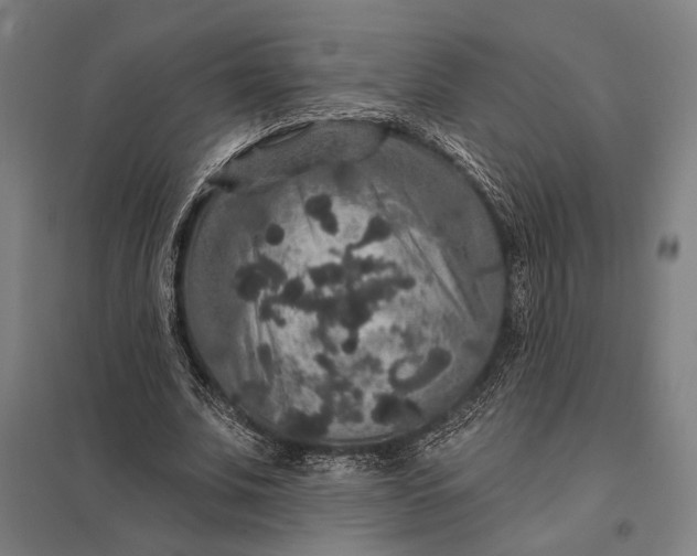 X0000097910679200803281403