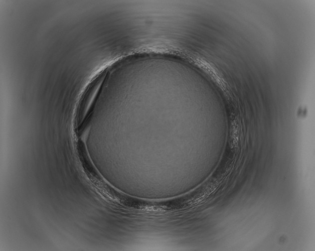 X0000097910680200803281403