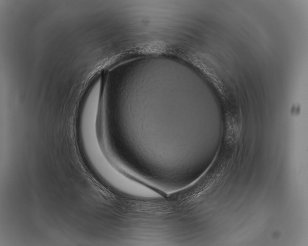 X0000097910681200803281403