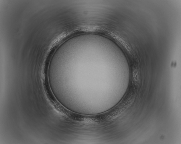 X0000097910682200803281403