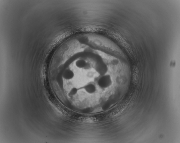 X0000097910683200803281403