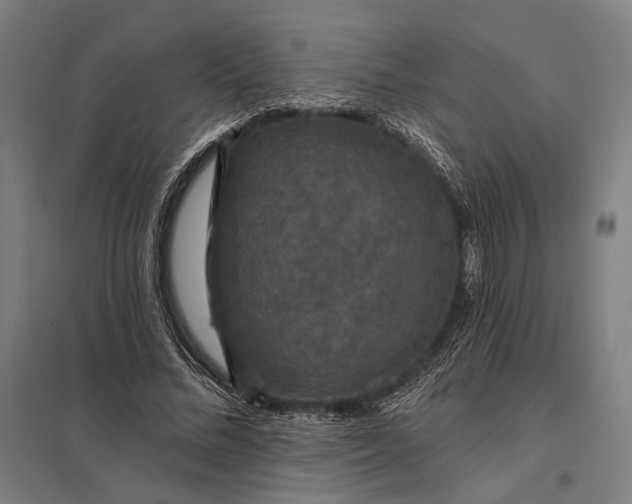 X0000097910684200803281403