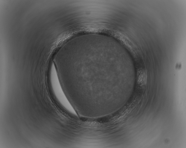 X0000097910685200803281403