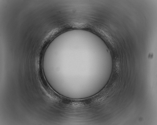 X0000097910686200803281403