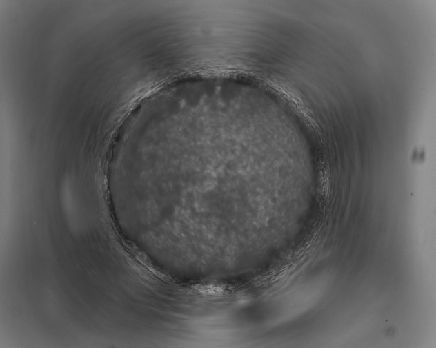 X0000097910687200803281403