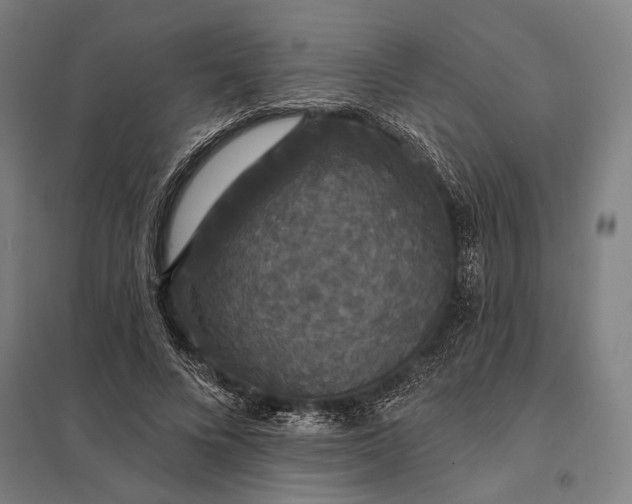 X0000097910688200803281403