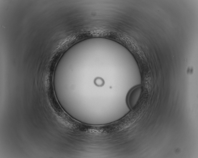 X0000097910690200803281403