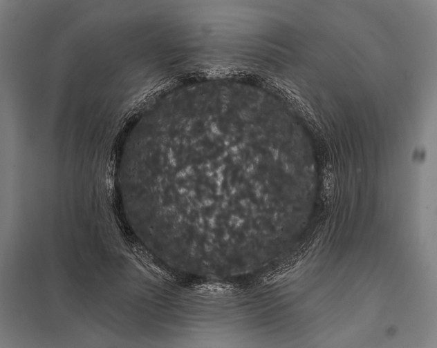 X0000097910691200803281403