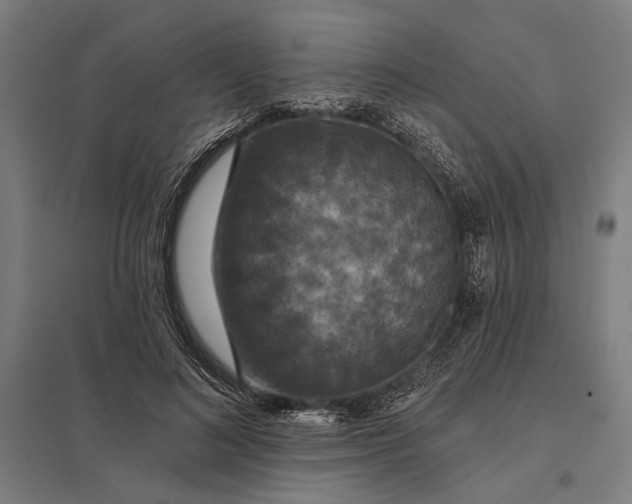 X0000097910692200803281403