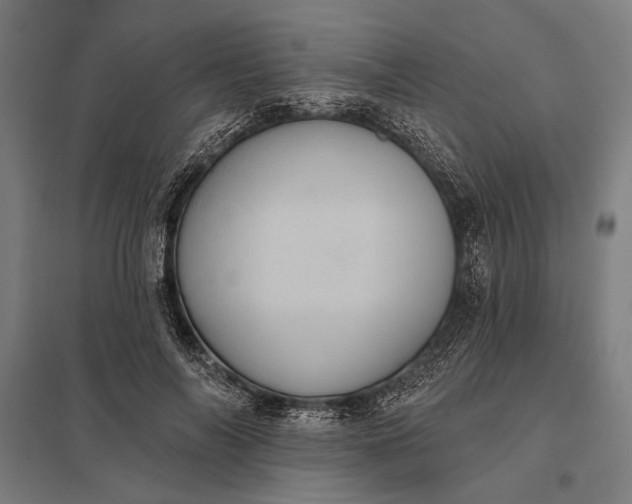 X0000097910694200803281403