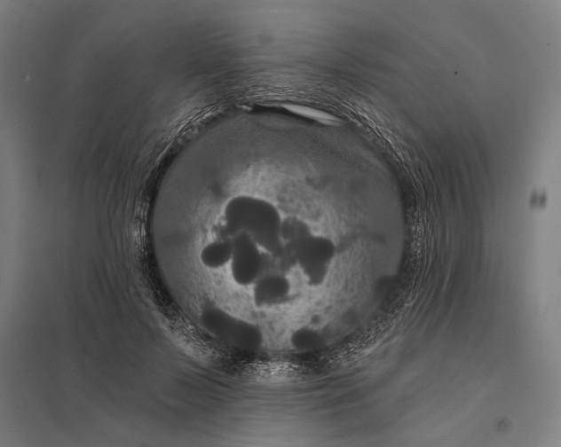 X0000097910695200803281403