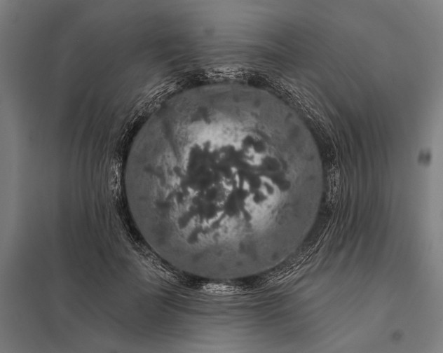 X0000097910699200803281403