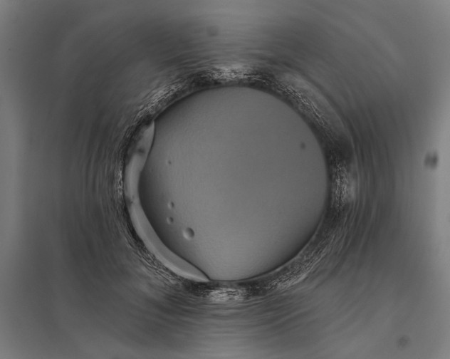 X0000097910700200803281403