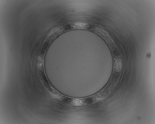 X0000097910701200803281403