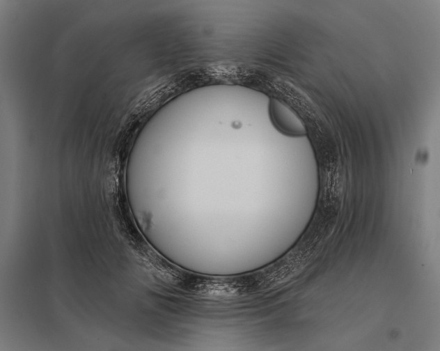 X0000097910702200803281403