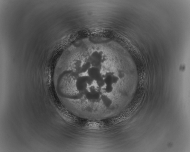 X0000097910703200803281403